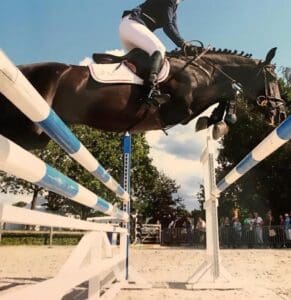 Paardenbak beregening | Diensten | Beregening Aanleggen